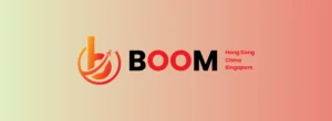 Boom Accounting & Financial Services